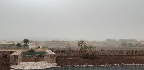 Calima
